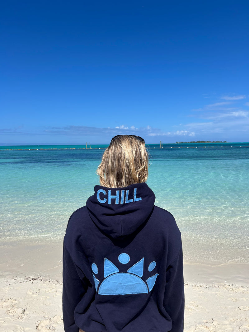 Person wearing a hoodie with a logo and text standing on a beach.