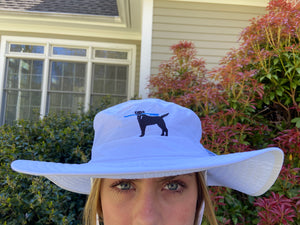 Guide Hat Lax Dog