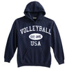 Volleyball Sweatshirt-Vintage Distressed Established Date USA
