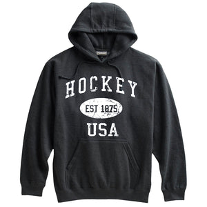 Hockey Sweatshirt-Vintage Distressed Established Date USA