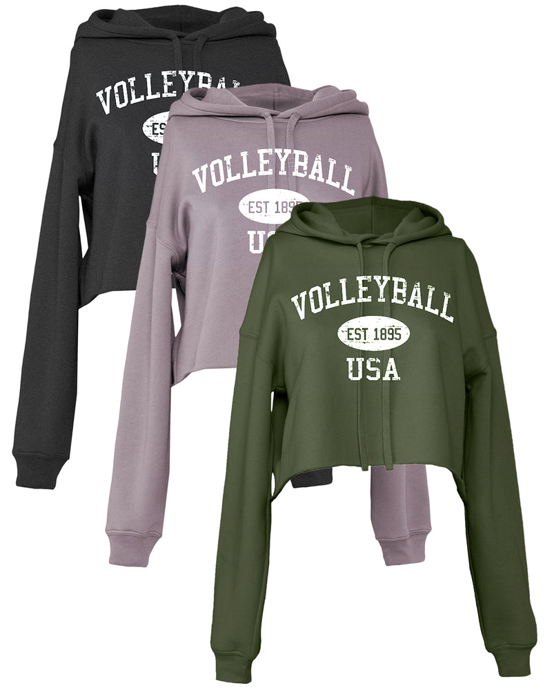 Cropped Volleyball Hoodie Vintage USA
